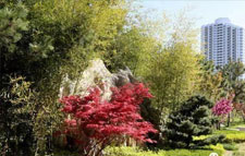 又是一年春來(lái)到，長(zhǎng)城文華花苑邀您賞春洗肺